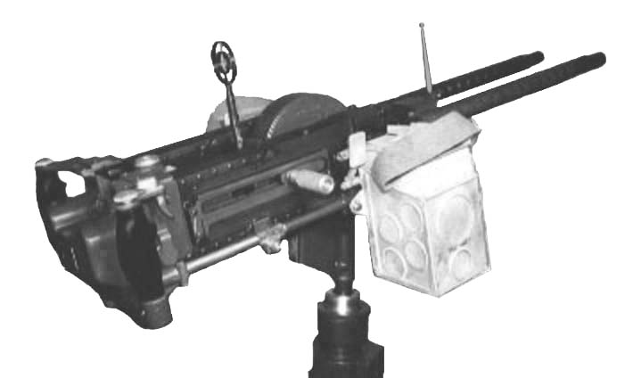 TwinANM2s.jpg